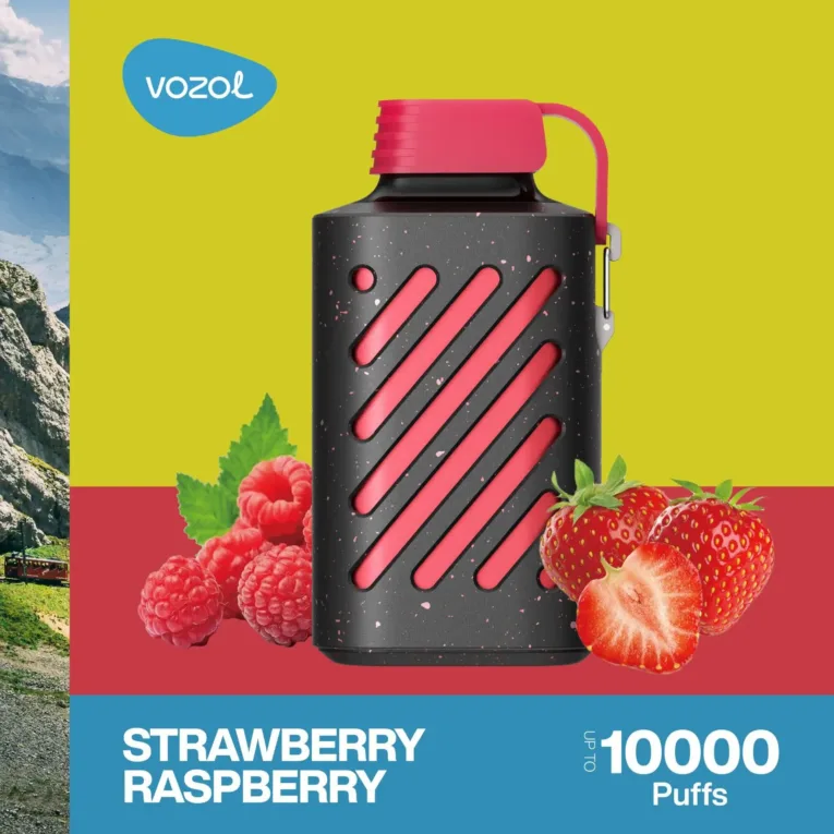 VOZOL GEAR 10000 Strawberry Raspberry